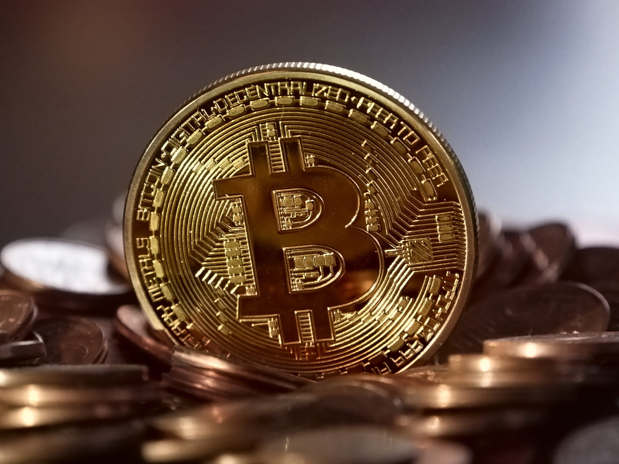 2021: año de la revalorización del bitcoin